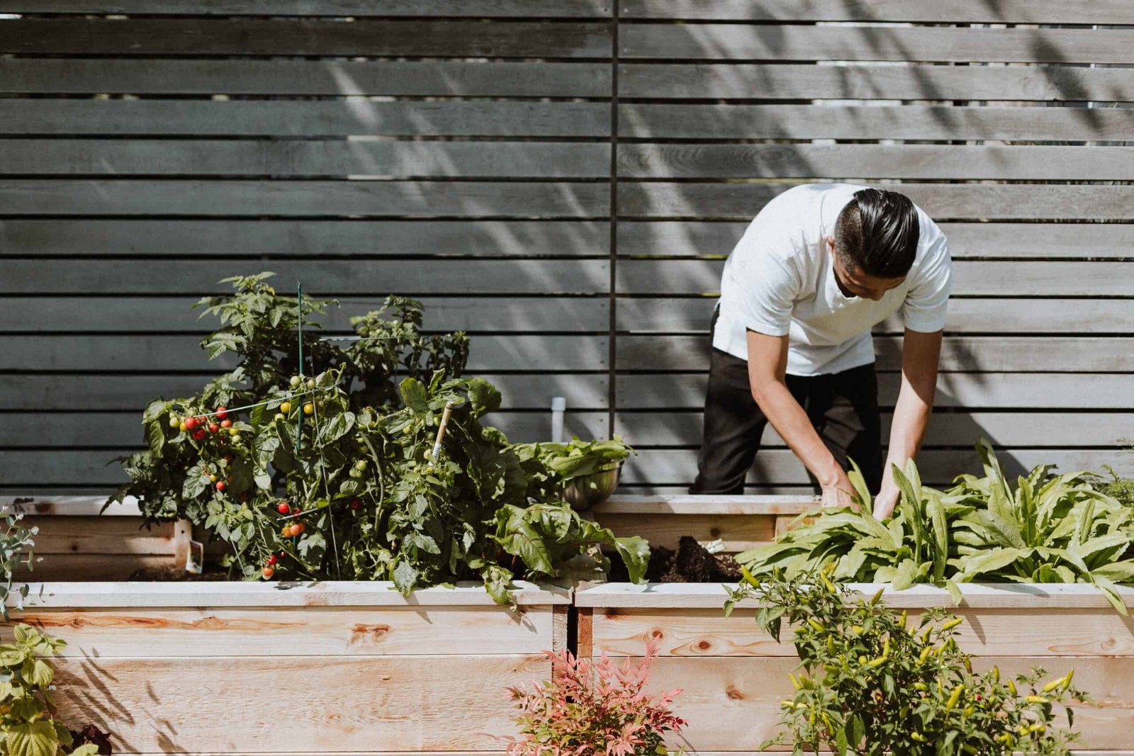 Gardener Rodrigo Torres