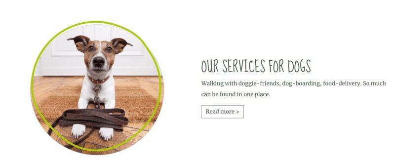 www.dogwalker.lu